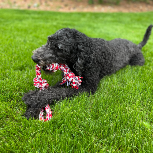 ReRope Upcycled Fabric Rope Dog Toy For Eco Mindful Wellness
