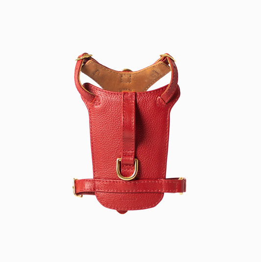 Mars Heritage Harness for Dogs Ramona For You Wellbeing