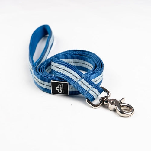 Appalachian Jazz Blue Reflective Dog Leash - Soft, Durable, Strong